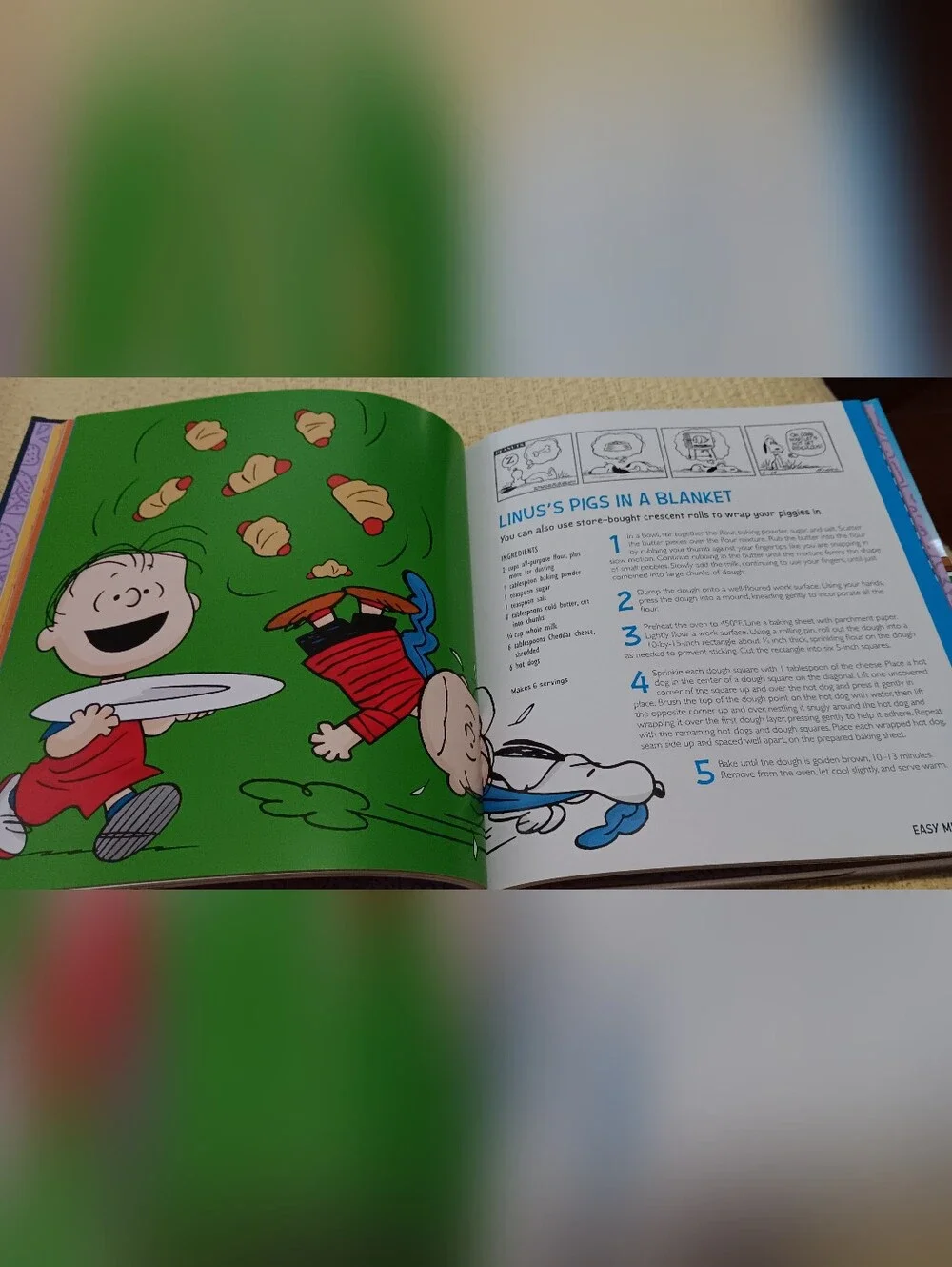Peanuts Family Cookbook